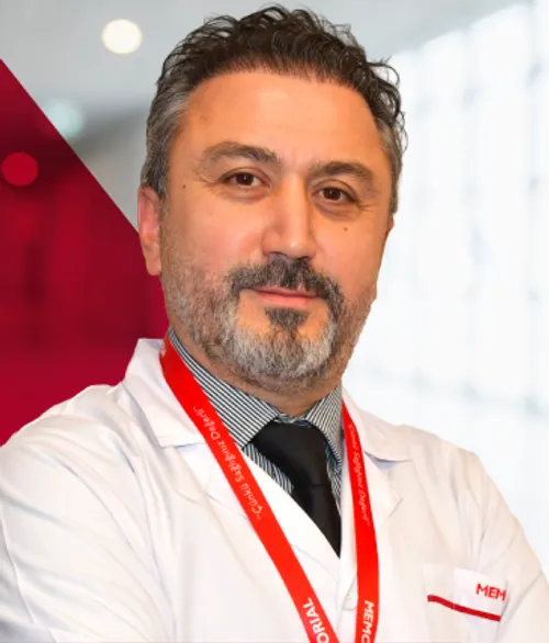 Prof. Dr. Olcay Guler